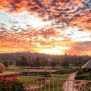 Welcome to my closet!